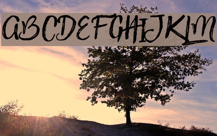 PinkGladiolusone Font examples