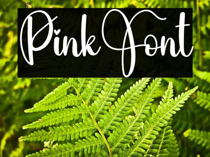 Pink Example 3