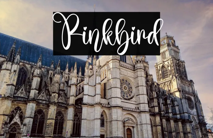 Pinkbird Example 1