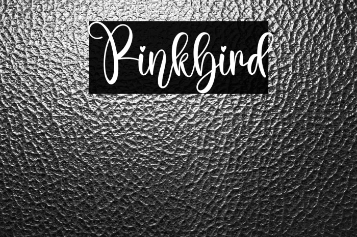 Pinkbird Example 2
