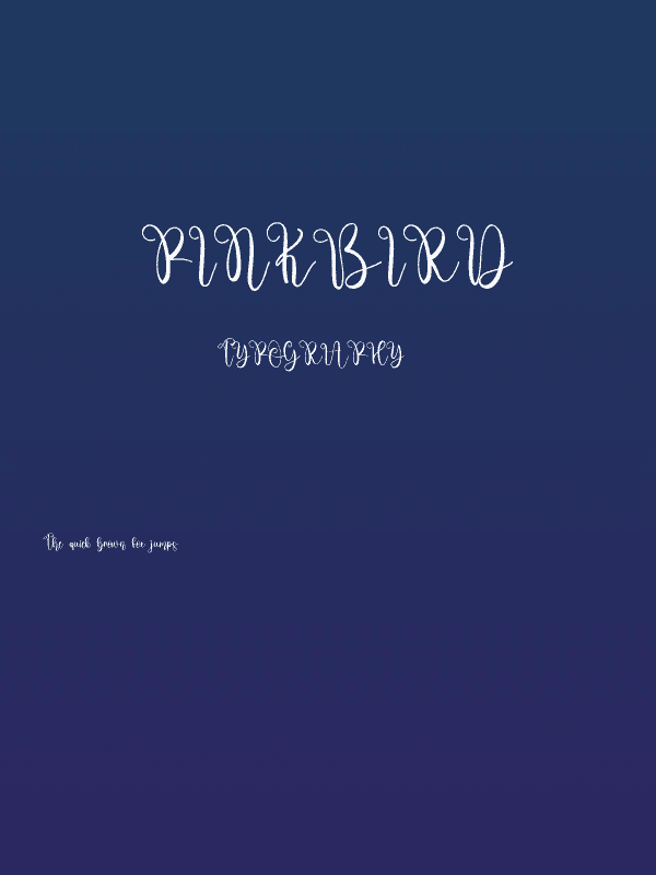 Pinkbird Poster