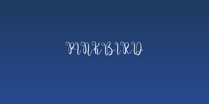 Pinkbird Social Header