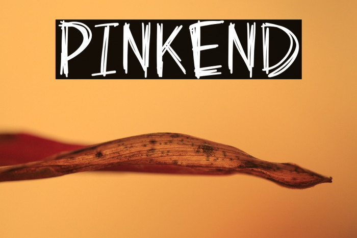 Pinkend Example 3