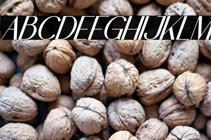 Pinkerston Italic Example 3