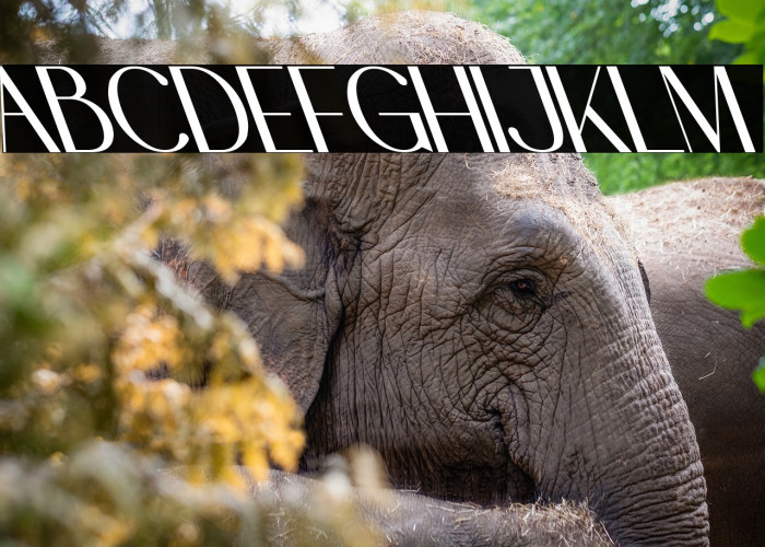 Pinkerston Oblique Example 1