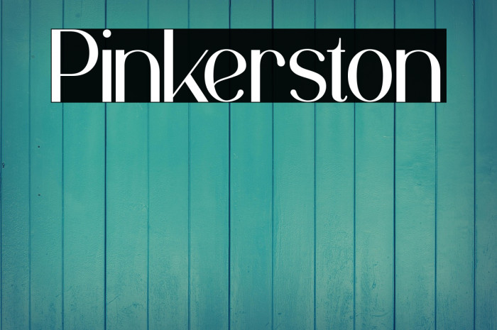 Pinkerston Example 1