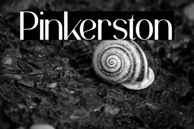 Pinkerston Font examples