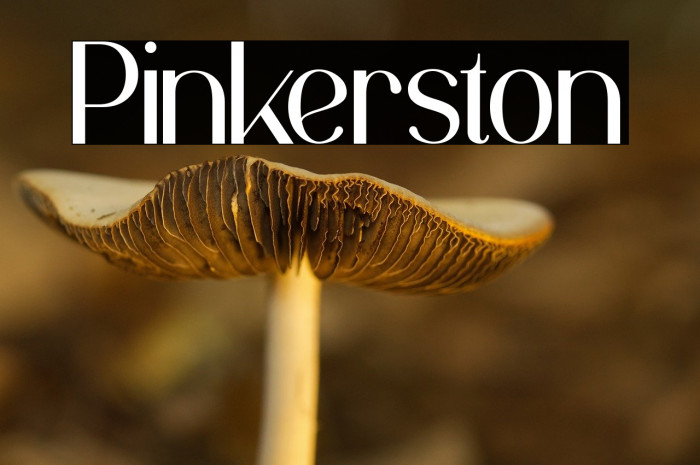 Pinkerston Example 3