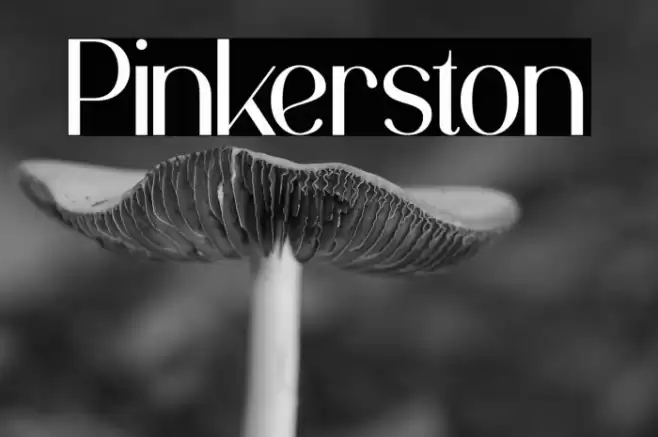 Pinkerston Font examples