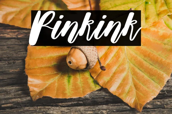 Pinkink Example 1