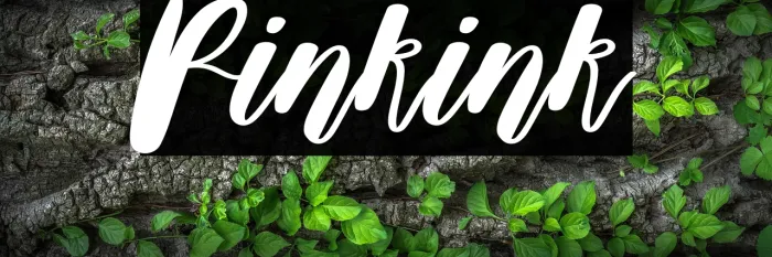 Pinkink Example 2