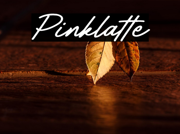 Pinklatte Example 1
