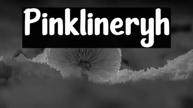 Pinklineryh Font examples