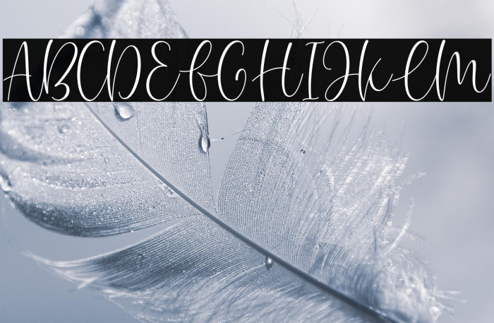 Pinky Budy Example 2