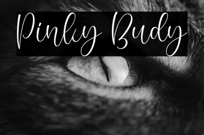 Pinky Budy Font examples