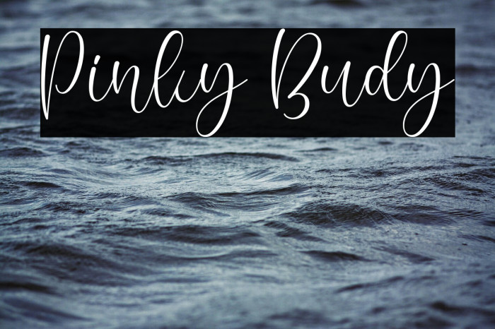 Pinky Budy Example 2