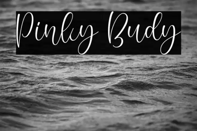 Pinky Budy Font examples