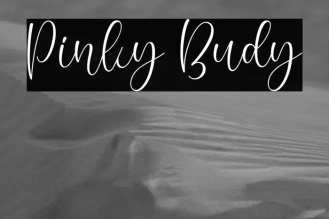 Pinky Budy Font examples