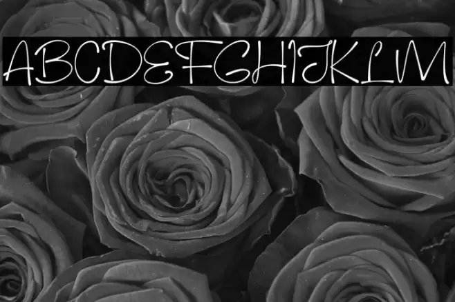 Pinky Cat Font examples