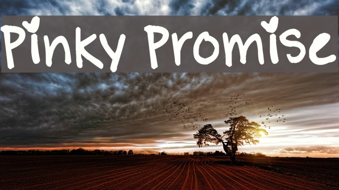 Pinky Promise Font examples
