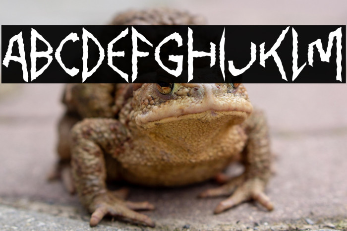 Pinky  Scream Example 2