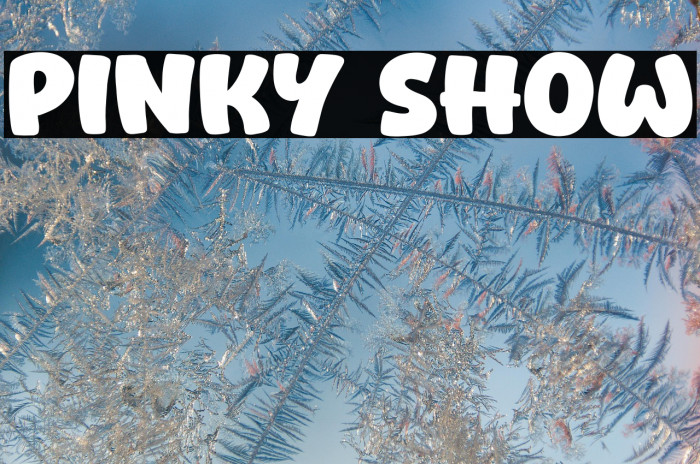 Pinky Show Example 1