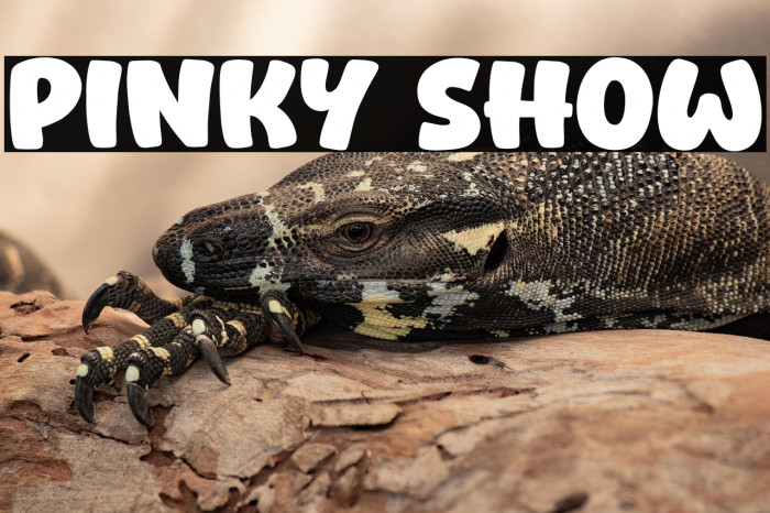 Pinky Show Example 2