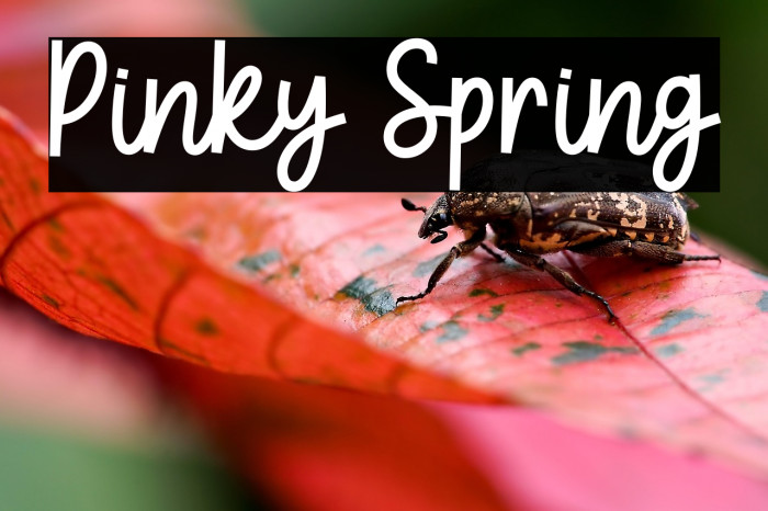 Pinky Spring Example 3