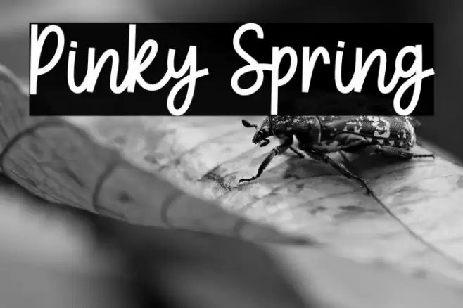 Pinky Spring Font examples