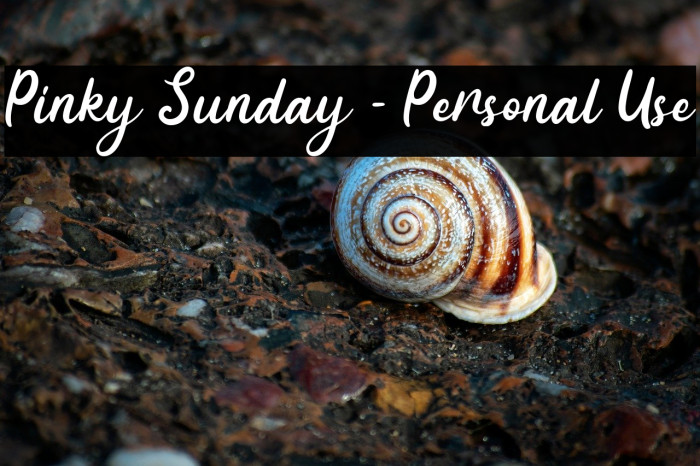 Pinky Sunday - Personal Use Example 1