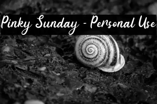 Pinky Sunday - Personal Use Font examples