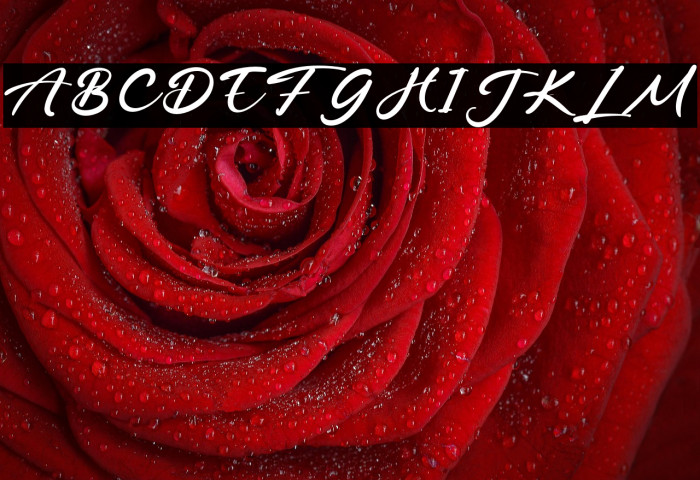 PinkyPromise Example 3