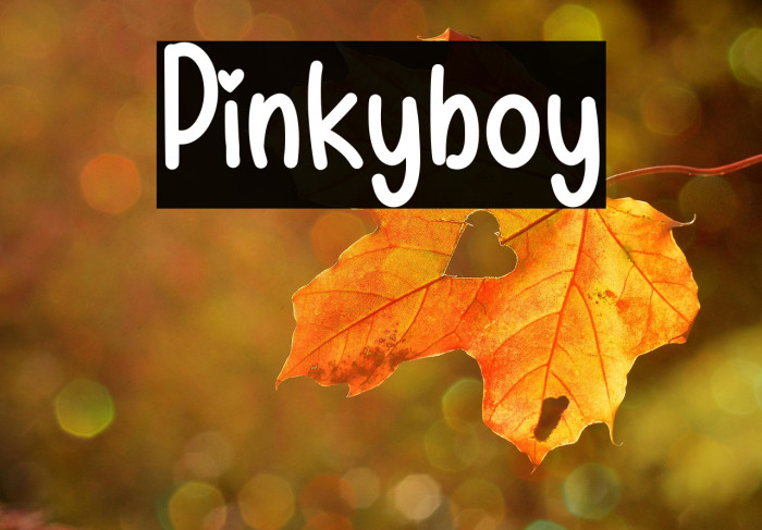 Pinkyboy Example 2