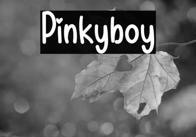 Pinkyboy Font examples