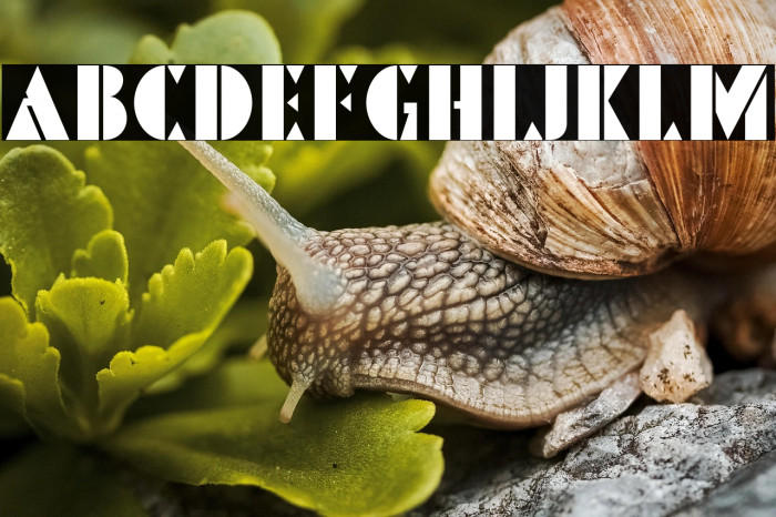 PinmoldDEMO Example 1