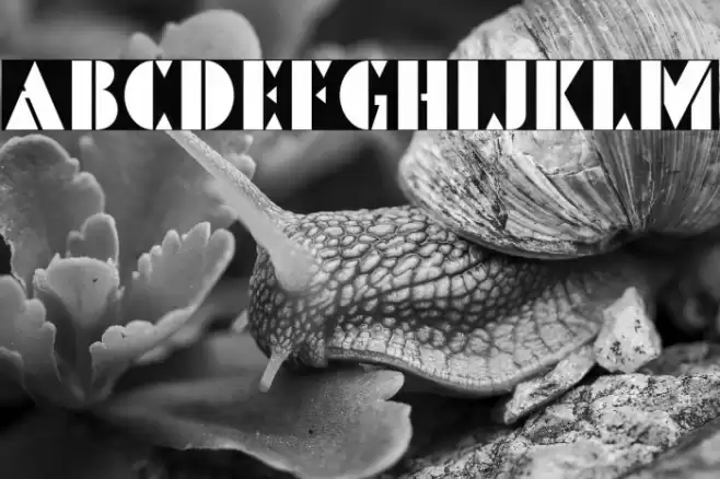 PinmoldDEMO Font examples