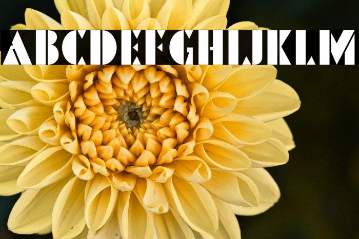 PinmoldDEMO Example 2