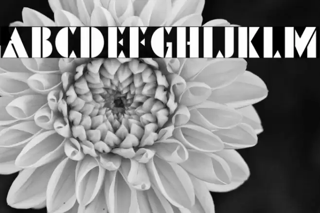 PinmoldDEMO Font examples