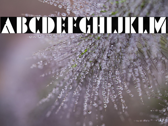 PinmoldDEMO Example 3