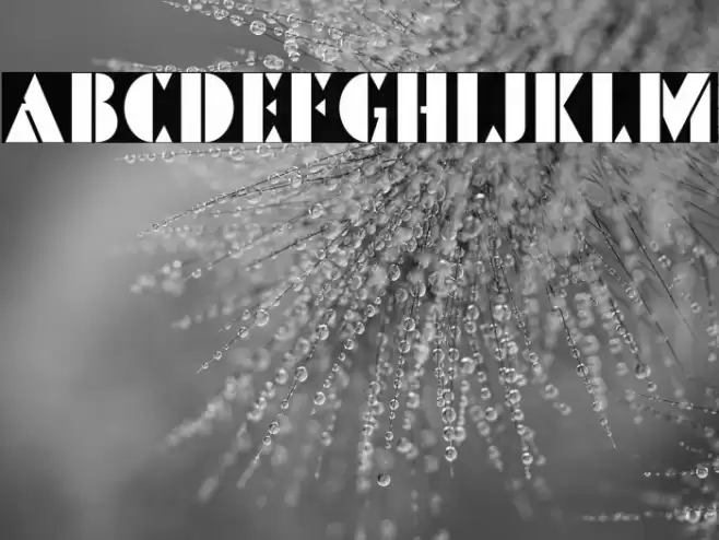 PinmoldDEMO Font examples