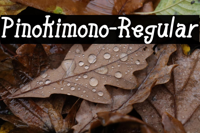 Pinokimono-Regular Example 2