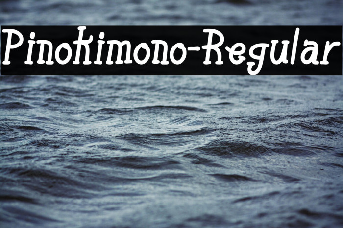 Pinokimono-Regular Example 3