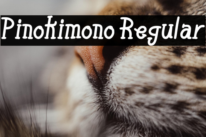 Pinokimono Regular Example 1
