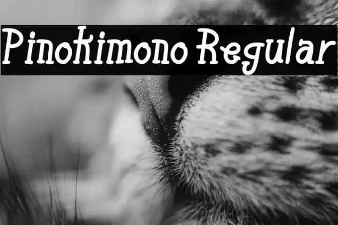 Pinokimono Regular फ़ॉन्ट examples