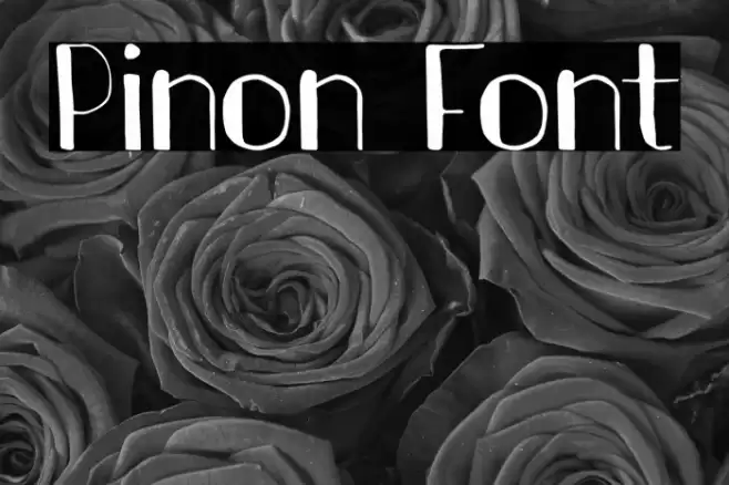 Pinon Font examples