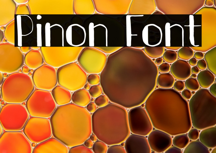 Pinon Example 2