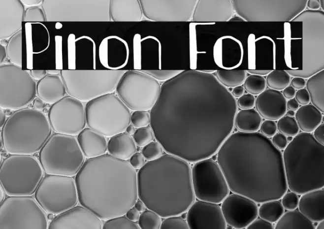 Pinon Font examples