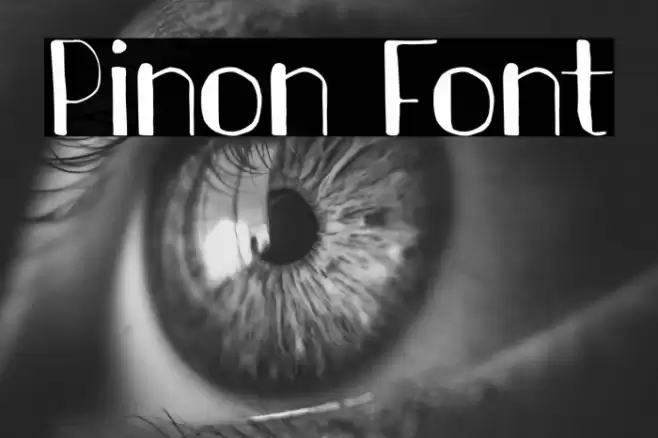 Pinon Font examples