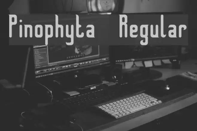 Pinophyta  Regular Font examples