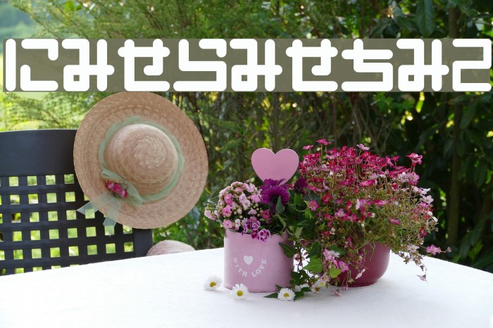 PinponpanHR Example 2